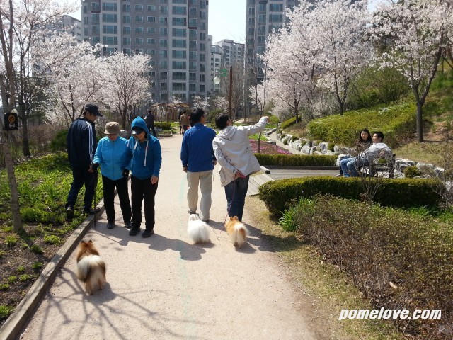 20130421_141444.jpg : 북한산 레미안 공원 정모후 사진 투척ㅎㅎ