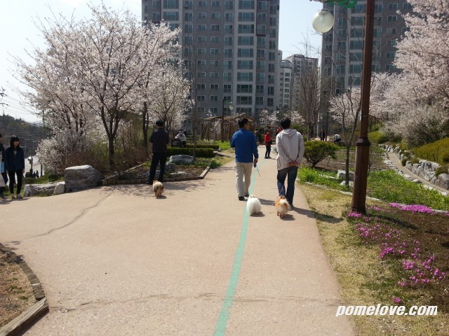 20130421_141507.jpg : 북한산 레미안 공원 정모후 사진 투척ㅎㅎ