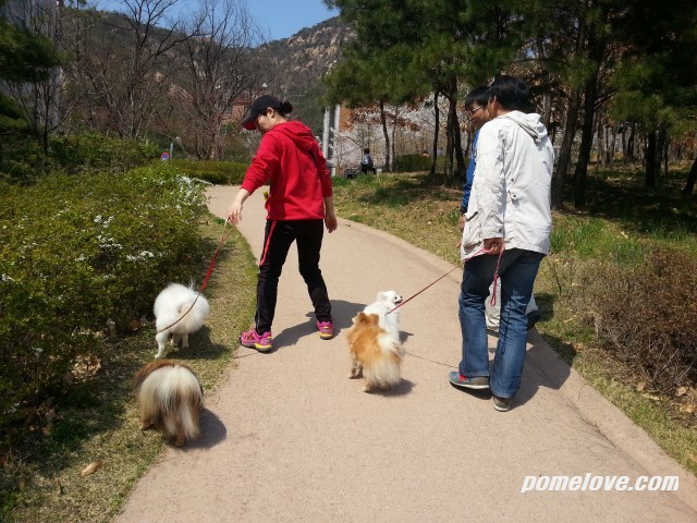 20130421_141928.jpg : 북한산 레미안 공원 정모후 사진 투척ㅎㅎ