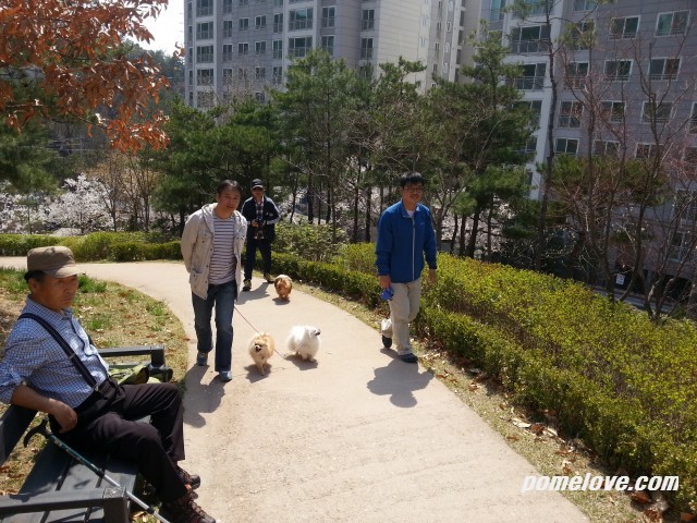 20130421_141957.jpg : 북한산 레미안 공원 정모후 사진 투척ㅎㅎ