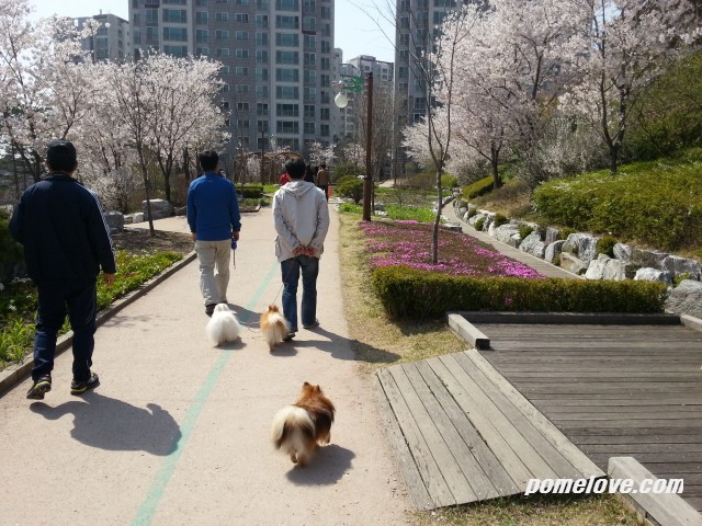 20130421_141451.jpg : 북한산 레미안 공원 정모후 사진 투척ㅎㅎ