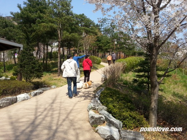 20130421_141846.jpg : 북한산 레미안 공원 정모후 사진 투척ㅎㅎ