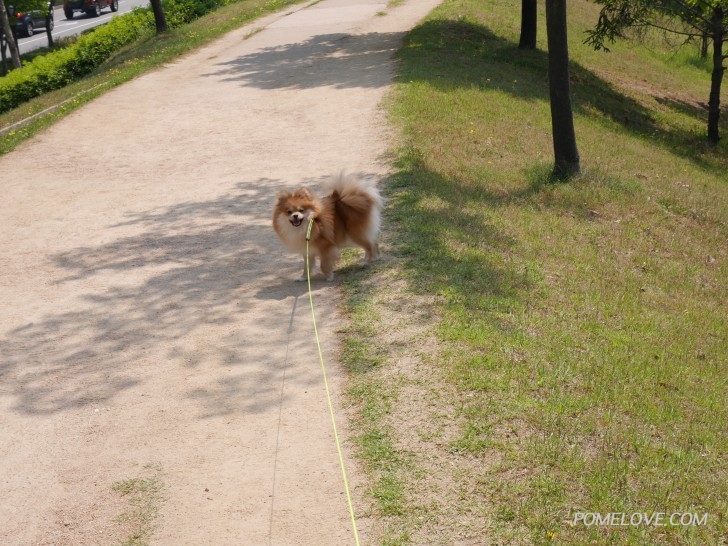 P1040005.JPG : 어제 