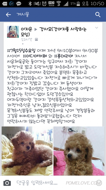 Screenshot_2015-07-16-22-50-08.png : 포메는아니지만