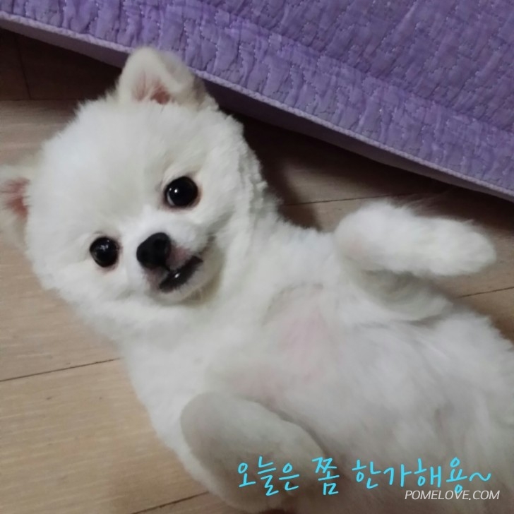 CYMERA_20150225_113853.jpg : 표정공주 미미의 말하는 사진