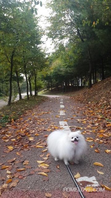 20141026_104045.jpg : 가을 뇨자 콩이~