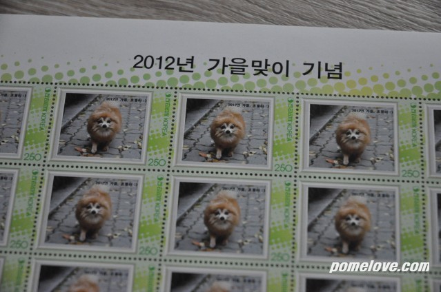 포메라니안  : 초롱이로 우표를 만들어봤어요 ^^