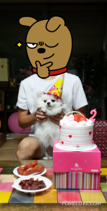 2015-09-15 20.36.02.png : 몽실이 2번째 생일