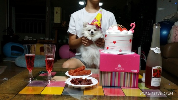 20150915_200114.jpg : 몽실이 2번째 생일