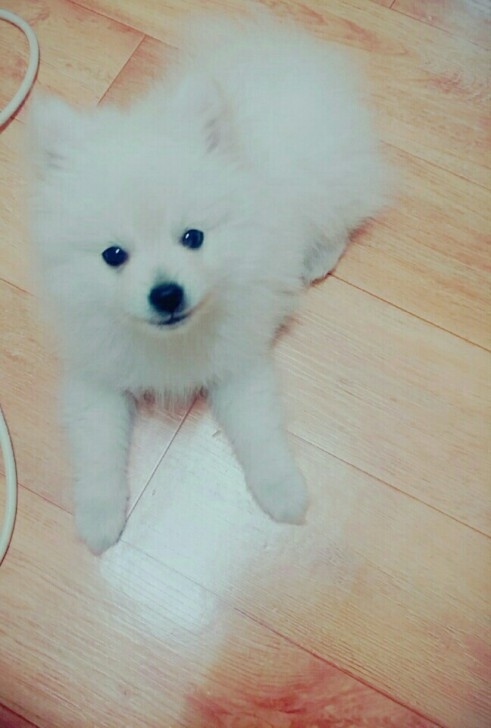 KakaoTalk_20160324_132125761.jpg