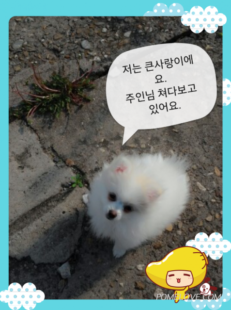 IMG_20140425_2.png : 2014.04.25꾸물이81일째