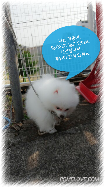 IMG_20140414_7.png : 2014.04.14.꾸물이67일째