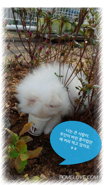 IMG_20140414_6.png : 2014.04.14.꾸물이67일째