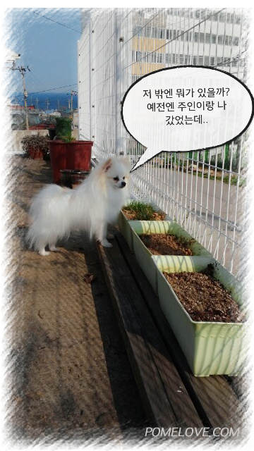 IMG_20140414_3.png : 2014.04.14.꾸물이67일째