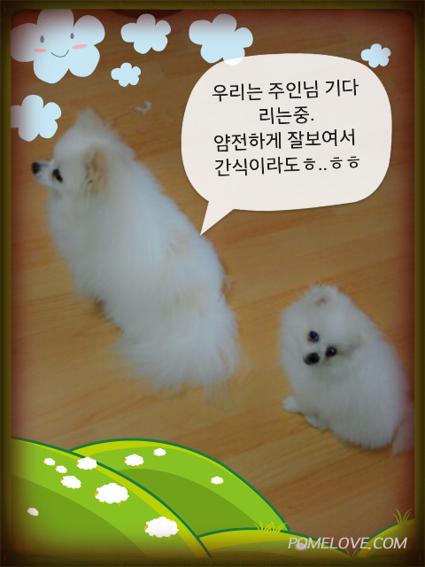 IMG_20140420_5.png : 2014.04.21.꾸물이74알째