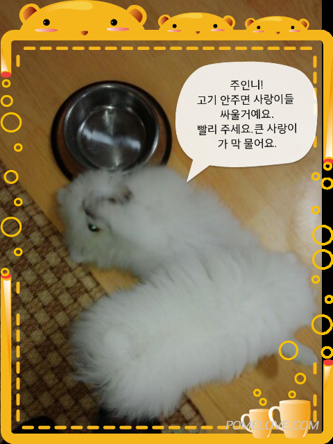 IMG_20140420_9.png : 2014.04.21.꾸물이74알째