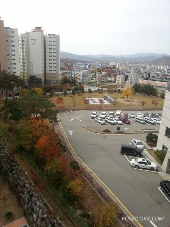 20151026_111741.jpg : 흰돌이집 베란다넘어 풍경입니다.