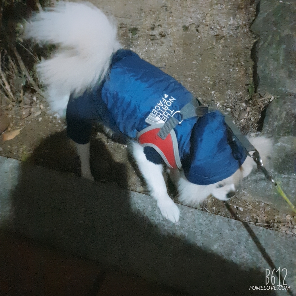 B612_20191119_191352_086.jpg : 밤 산책 하고 왔오용~