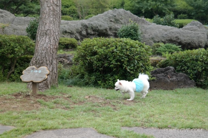 크기변환_08280186.JPG : 둘이 아닌 셋이서 더 소중했던 제주여행 후기 올려봅니다.