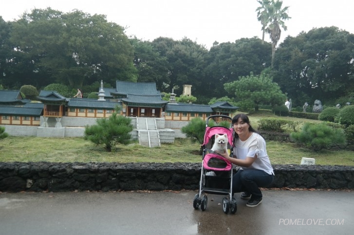 크기변환_08290029.JPG : 둘이 아닌 셋이서 더 소중했던 제주여행 후기 올려봅니다.