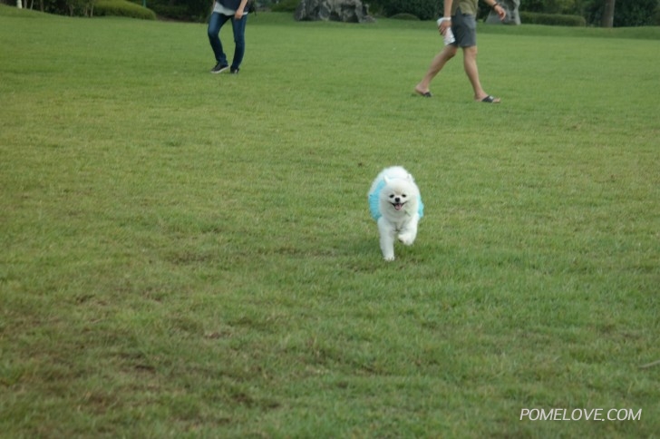 크기변환_08280230.JPG : 둘이 아닌 셋이서 더 소중했던 제주여행 후기 올려봅니다.