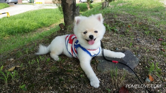 20140822_160407.jpg : 곰이성장일기^^