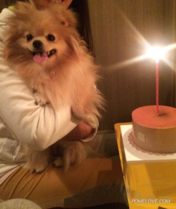 image.jpg : 생일 축하합니다~~^^