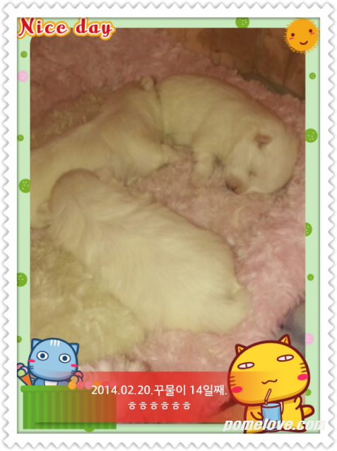 IMG_20140220_4.png : 2014.02.20.꾸물이14일째