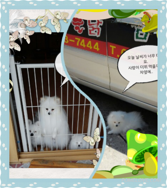 IMG_20140519_3.png : 2014.05.19 사랑이 가족