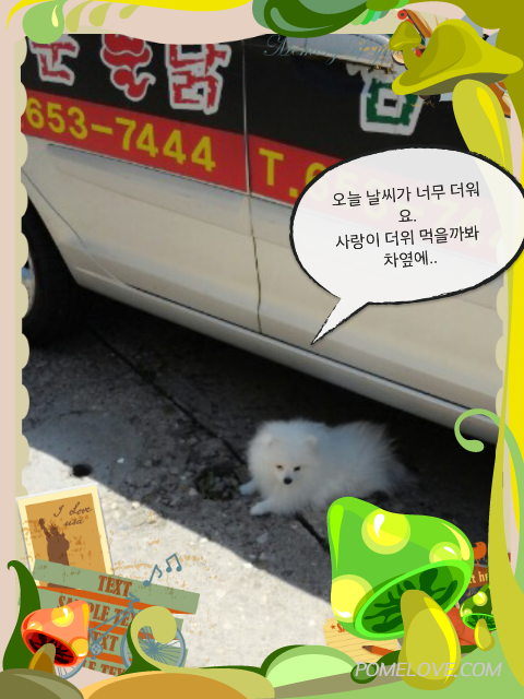 IMG_20140519_1.png : 2014.05.19 사랑이 가족