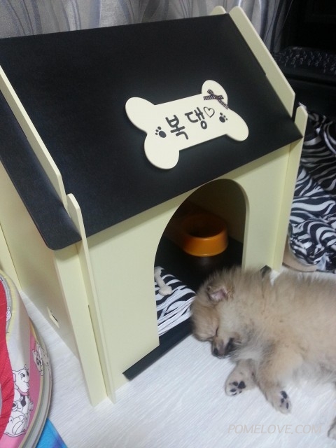 20140530_224257.jpg : 복댕이 집이 생겼어요~~^^