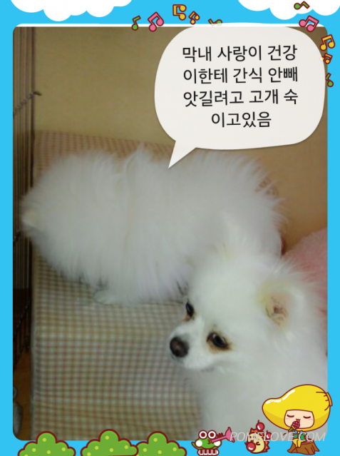 IMG_20140505_3.png : 2014.05.05꾸물이91일째