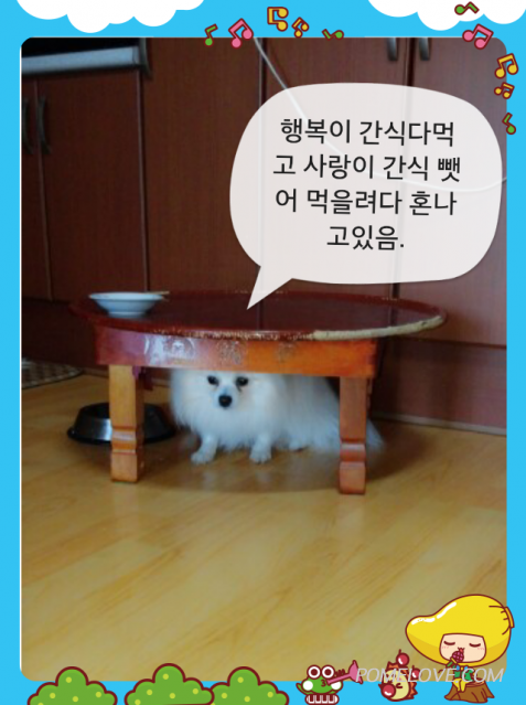 IMG_20140505_4.png : 2014.05.05꾸물이91일째