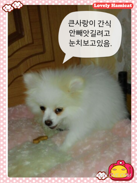 IMG_20140505_5.png : 2014.05.05꾸물이91일째