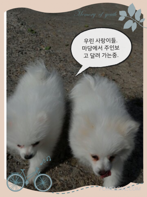 IMG_20140505_7.png : 2014.05.05꾸물이91일째