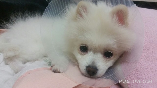 KakaoTalk_20141212_100426332.jpg