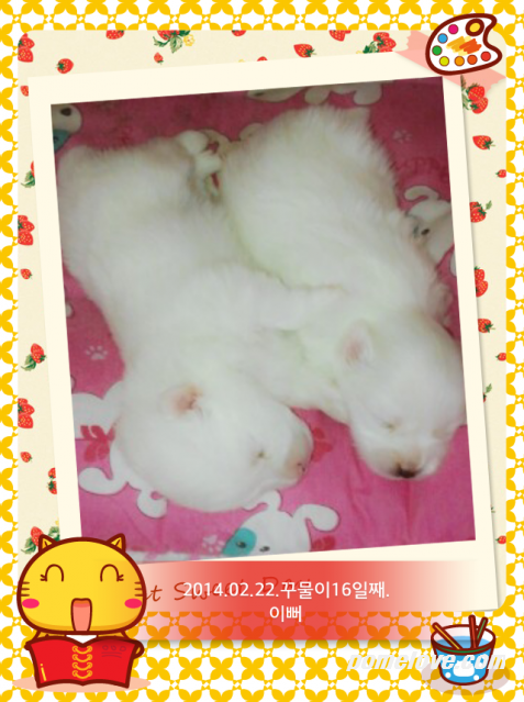 IMG_20140222_1.png : 2014.02.22.꾸물이16일째