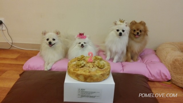 20140615_190243.jpg : 엘리 2살 생일 지냈어요~