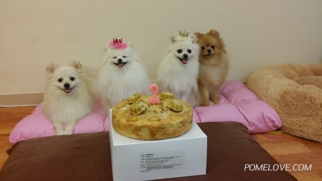 20140615_190113.jpg : 엘리 2살 생일 지냈어요~