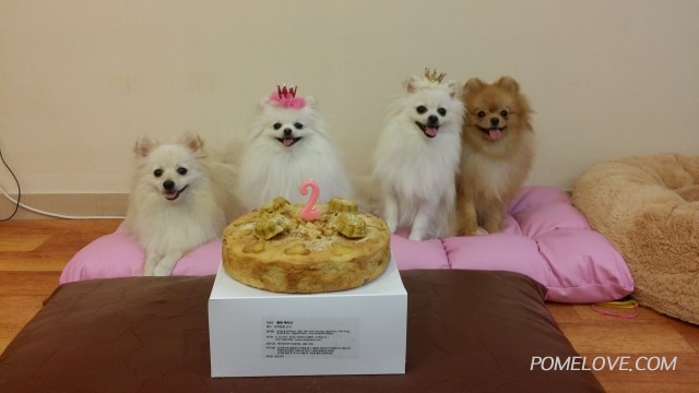 20140615_190210.jpg : 엘리 2살 생일 지냈어요~