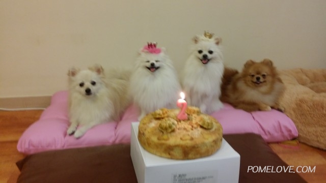 20140615_190739.jpg : 엘리 2살 생일 지냈어요~