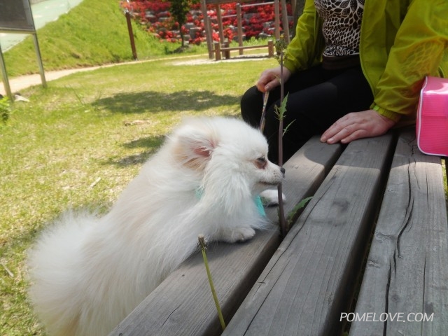 20140501_1153241.jpg : 레오의 사천나들이~