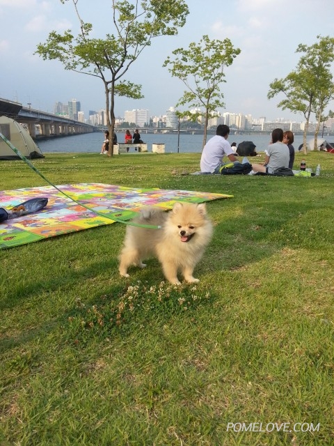 20140628_174803.jpg : 처음으로 나들이 나갔어요~~