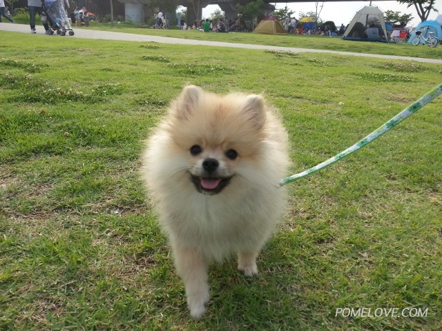 20140628_174416.jpg : 처음으로 나들이 나갔어요~~