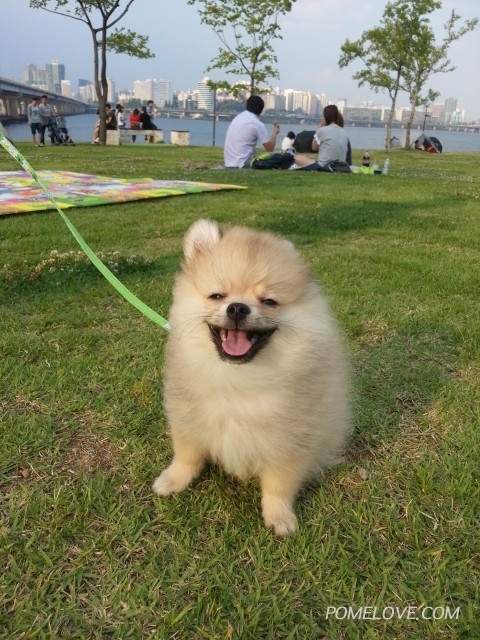 20140628_174828.jpg : 처음으로 나들이 나갔어요~~