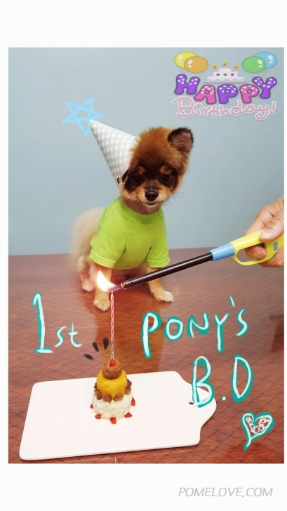 pony's 1st B.D_0.jpg